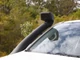 TJM Airtec snorkel szett - Volkswagen V6 2016-2020